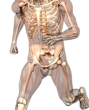 Physiotherapy Treatment